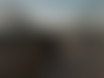 Concertina ou Cerca Elétrica: Qual Protege Mais?