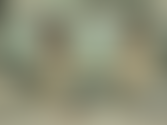 Análise de DQO e DBO em Sorocaba: como comprovar conformidade e reduzir riscos no seu efluente