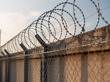 Como Aumentar a Segurança do Seu Muro com Concertina