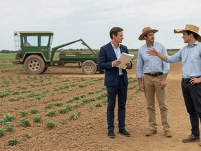 Qual é a rentabilidade de arrendar uma fazenda para cultivo de soja?