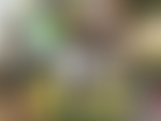 Como o Direito Homoafetivo Evoluiu no Brasil: Guia Prático para Casais