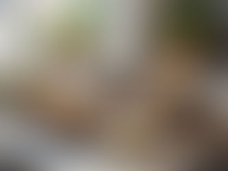 Marmita saudável é indicada para quem faz dieta cetogênica? Entenda e acerte na escolha