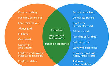 Apprentices and Internship.jpg