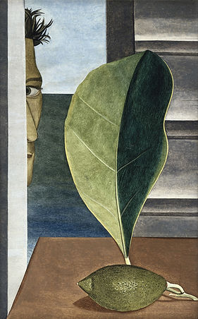 freud mies kurrkistaa.jpg