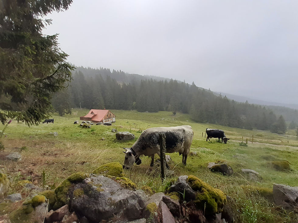 Mann mit Rucksack auf felsigem Pfad vor Bergkulisse. Er lächelt und zeigt das Peace-Zeichen. Blauer Himmel mit Wolken im Hintergrund.