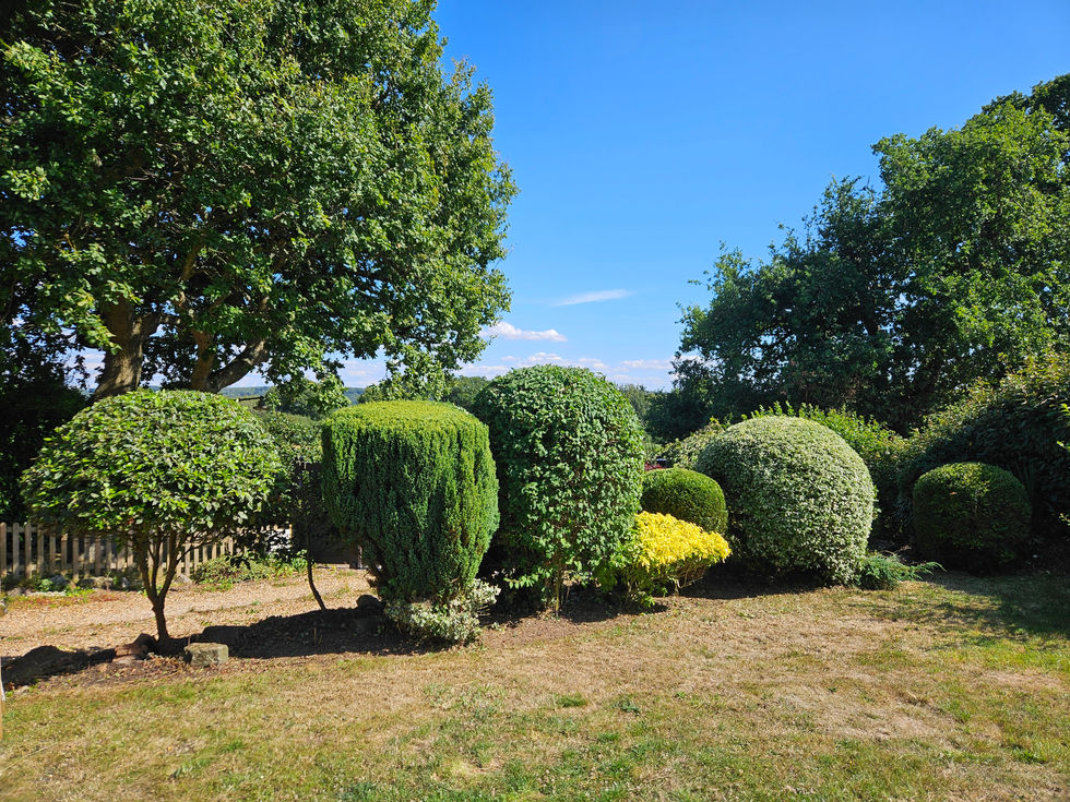 Hedge trimming Portishead