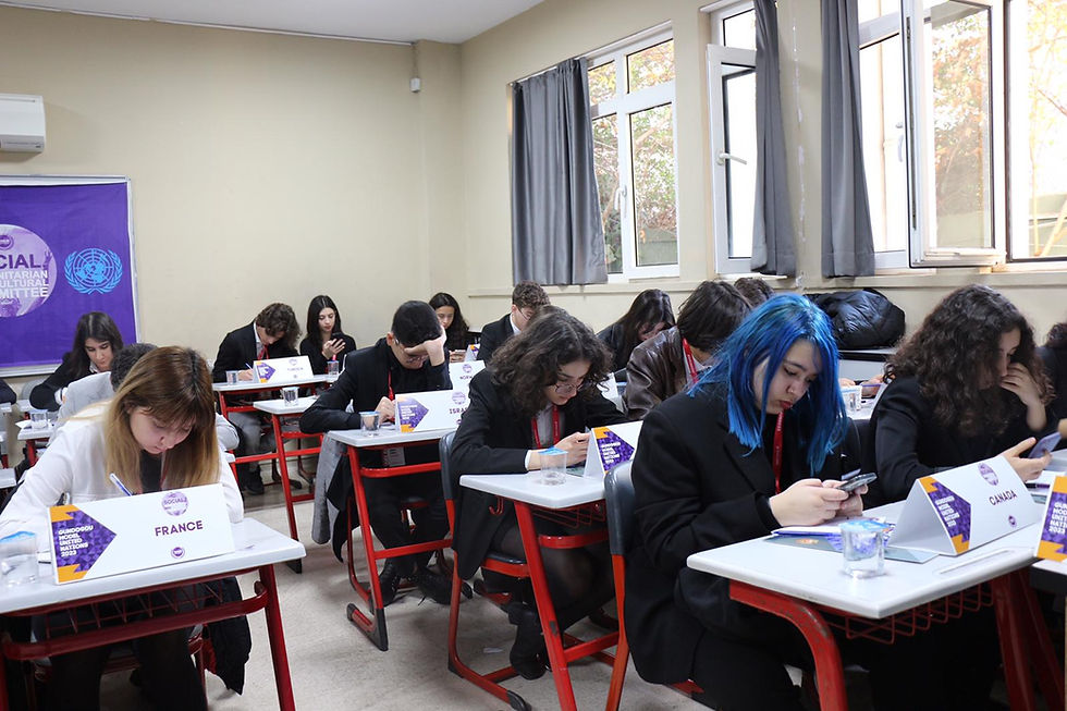 Model United Nations