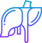 liver.png