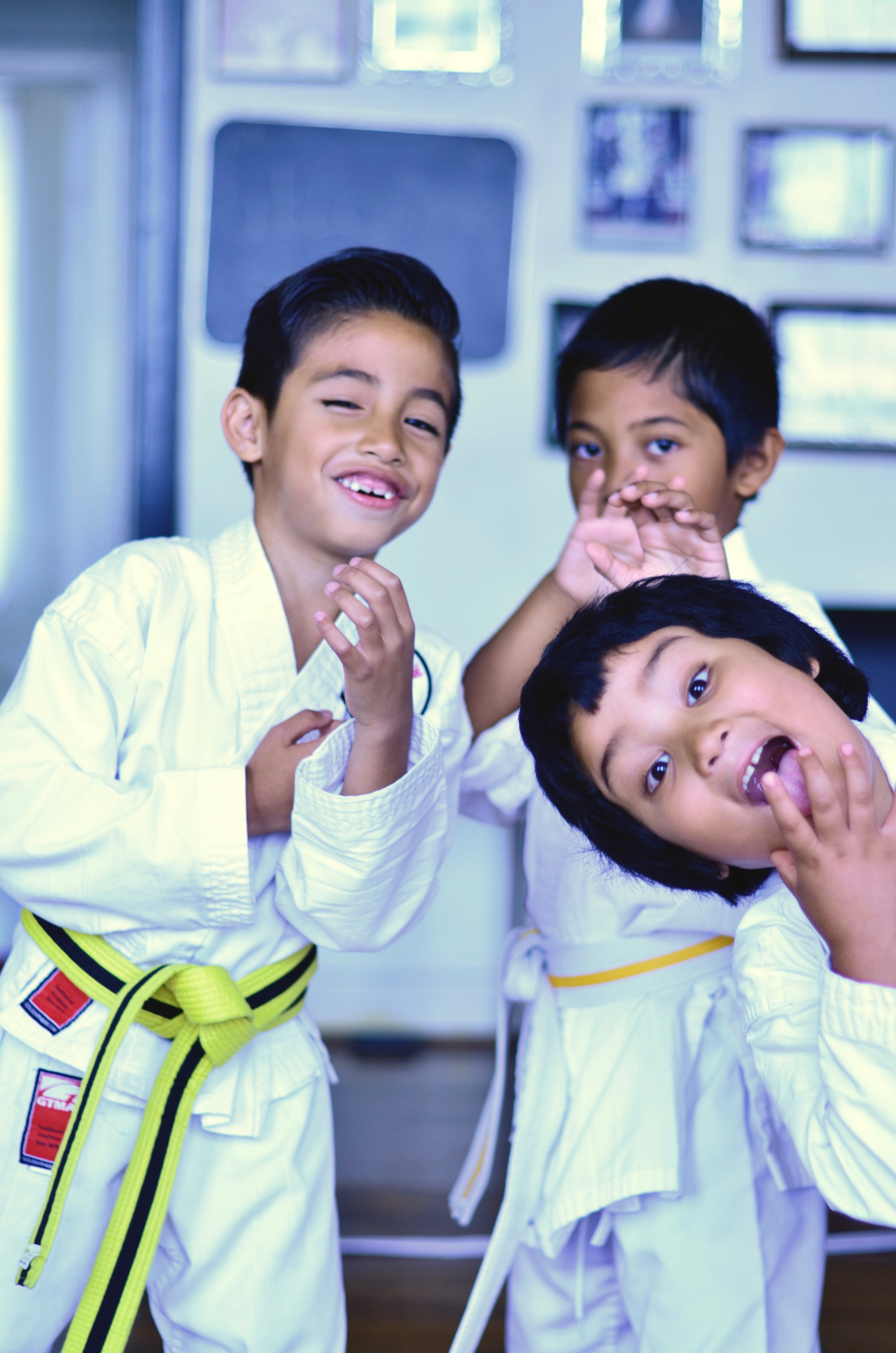 Shinsei Dojo Family