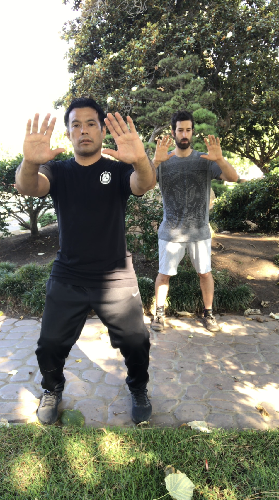 Tai Chi in West LA