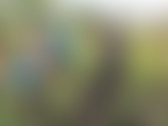 Tent of Oliver Foundation Partners with ERDO on Three Overseas Projects