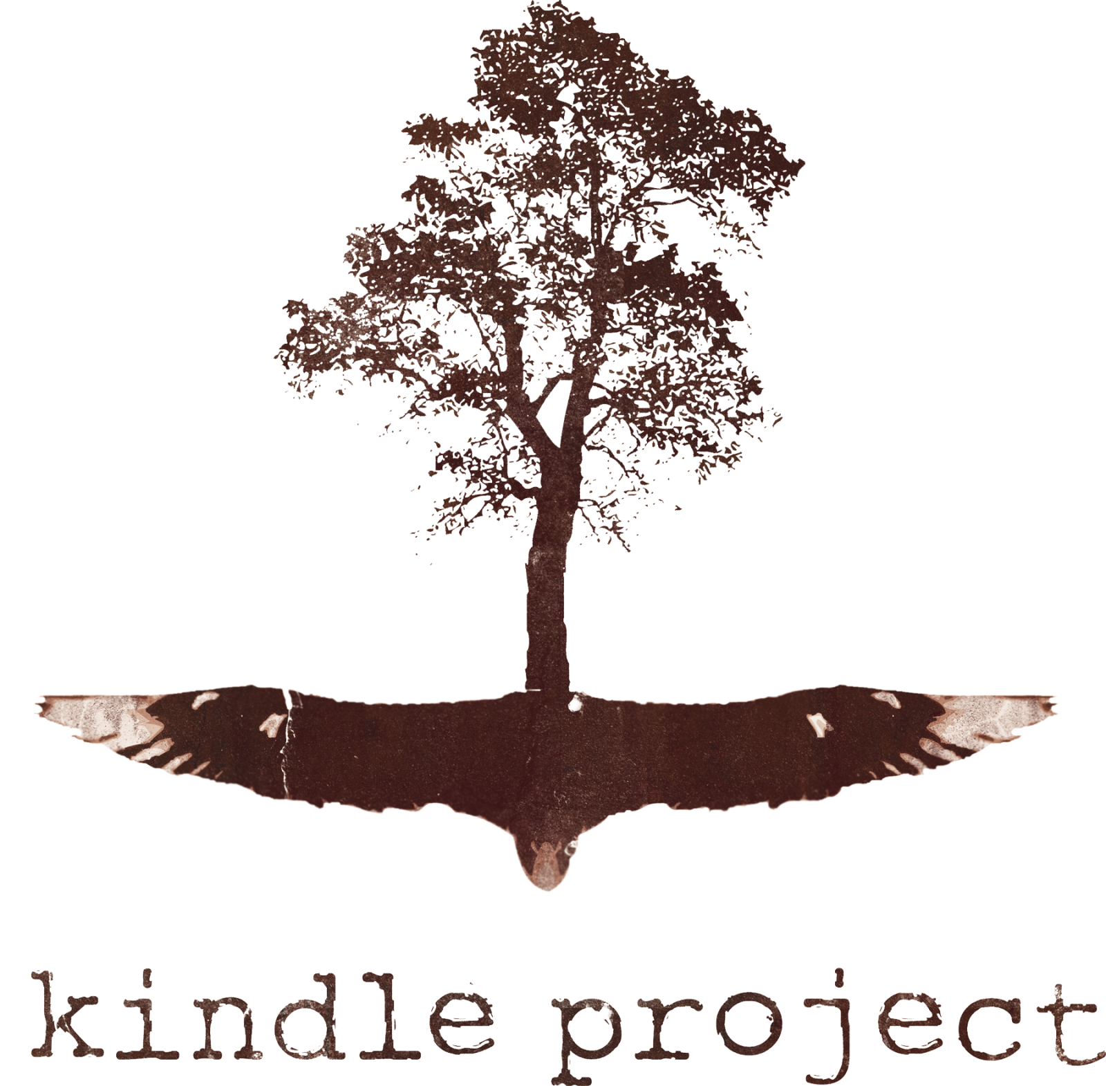 KINDLE_logo_LARGE.png.webp