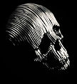 fd skull 2.jpg