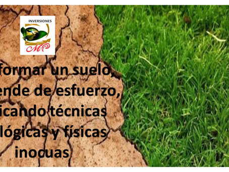 DAR EL SIGUIENTE PASO DEPENDE DE TI