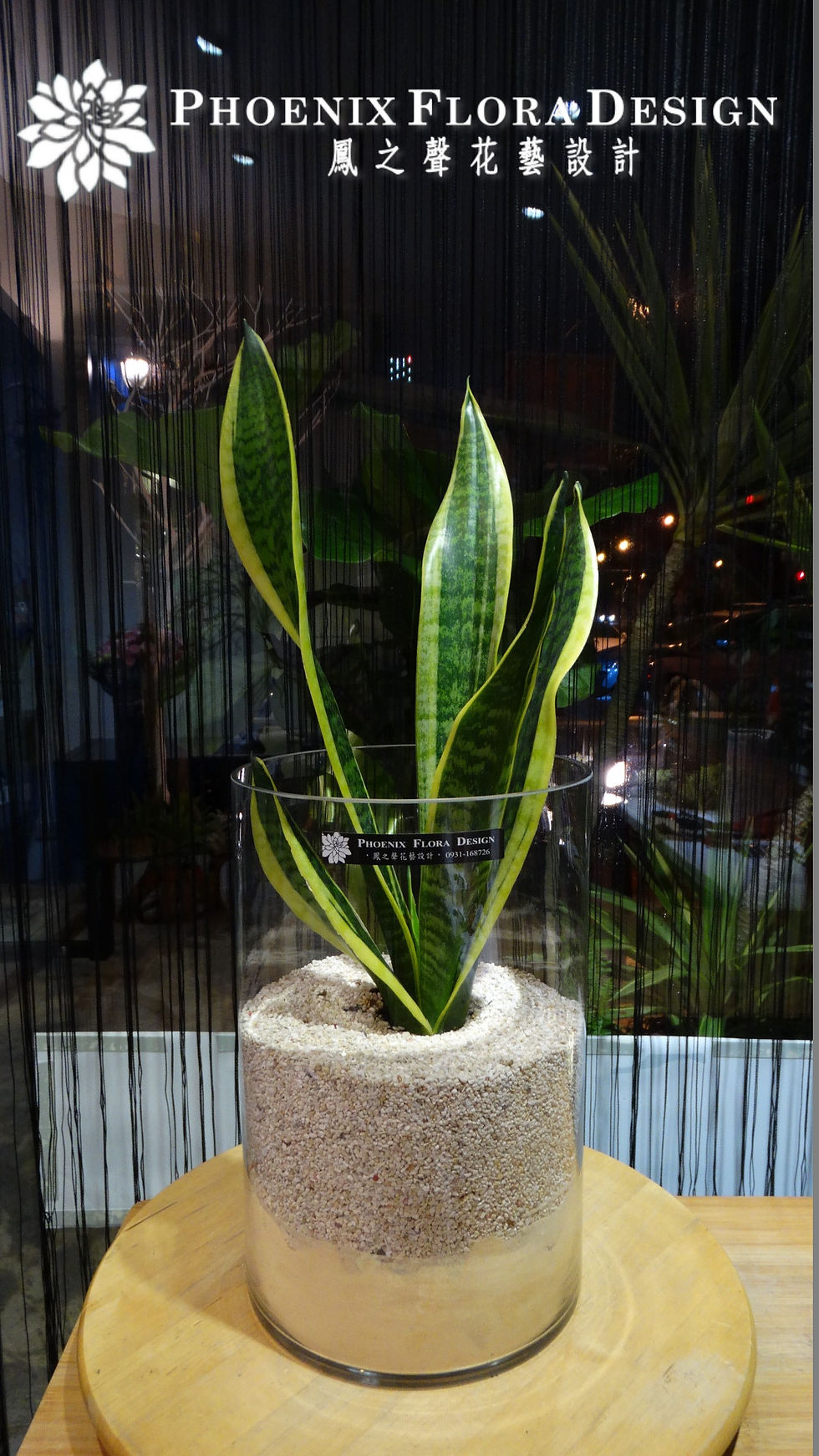 縮圖：多肉珊瑚礁 005