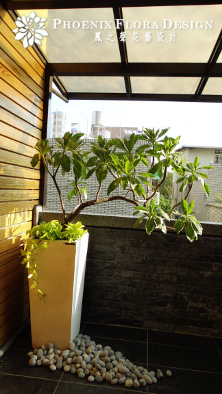 縮圖：別墅別樹