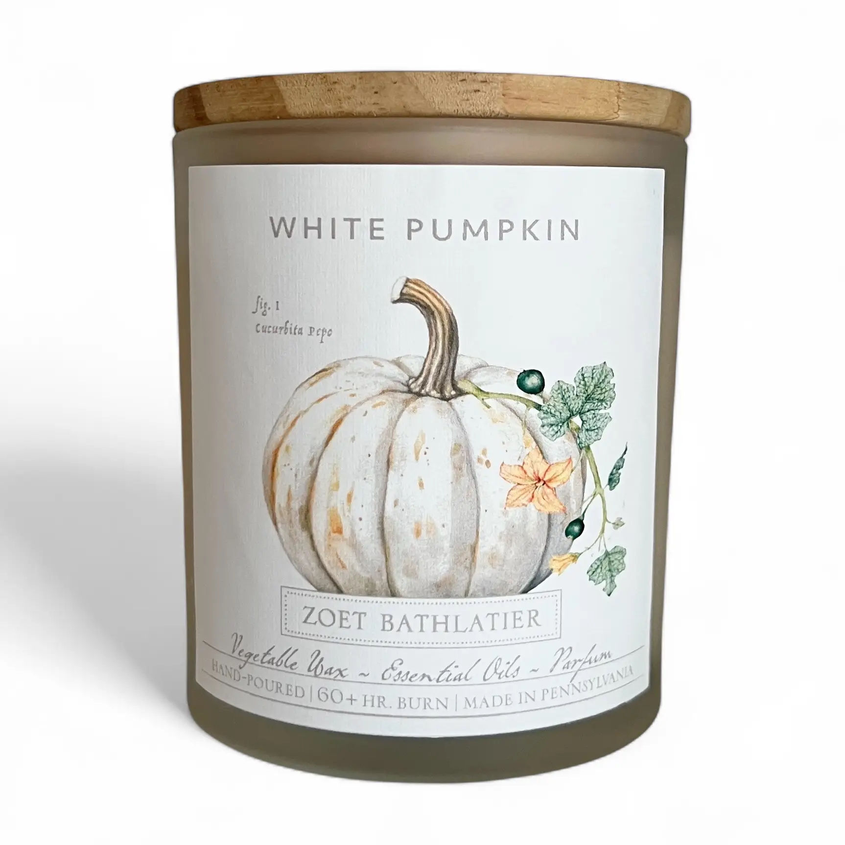 White Pumpkin / BOTANICAL Collection 