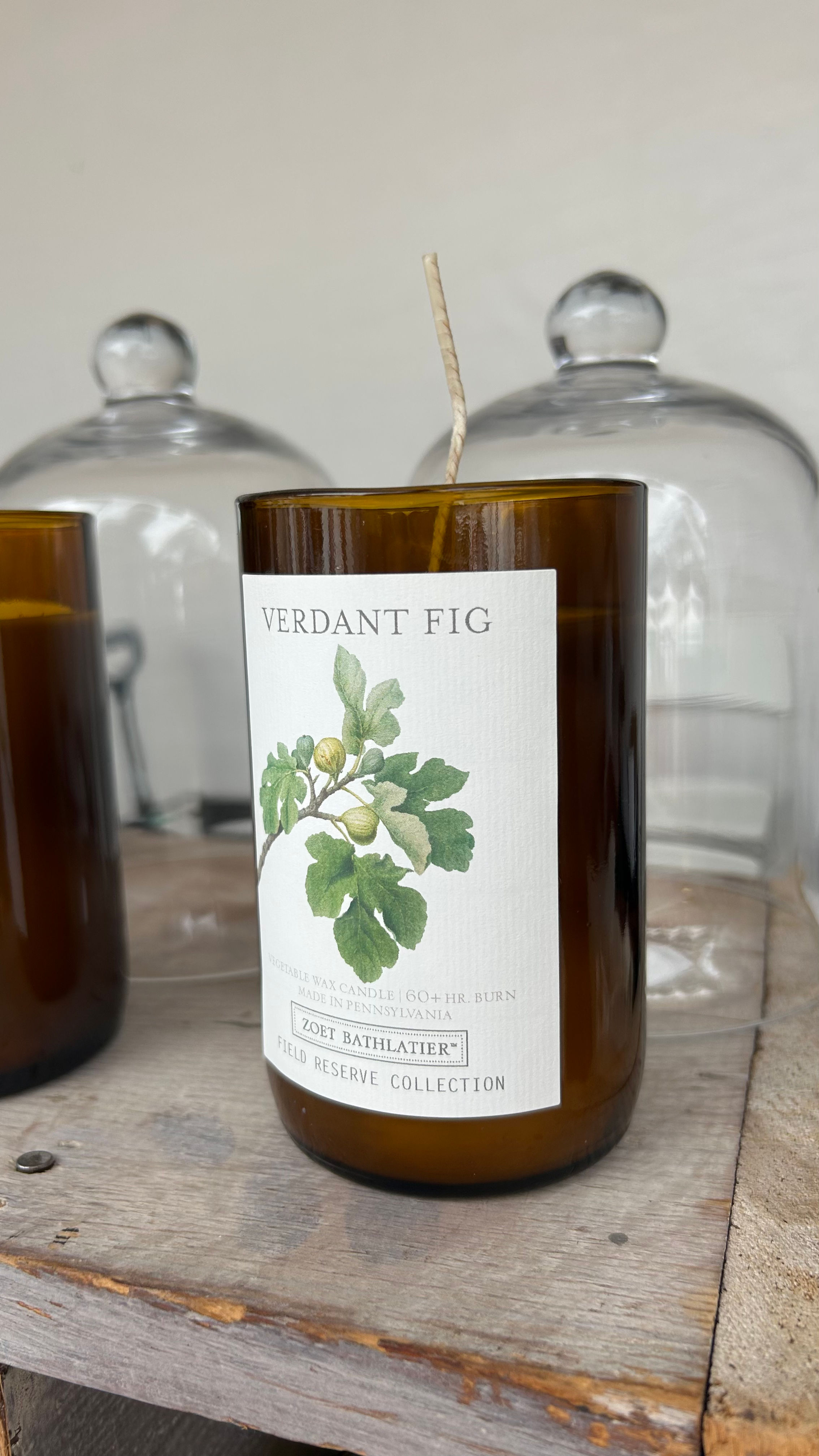 Verdant Fig / Field Reserve