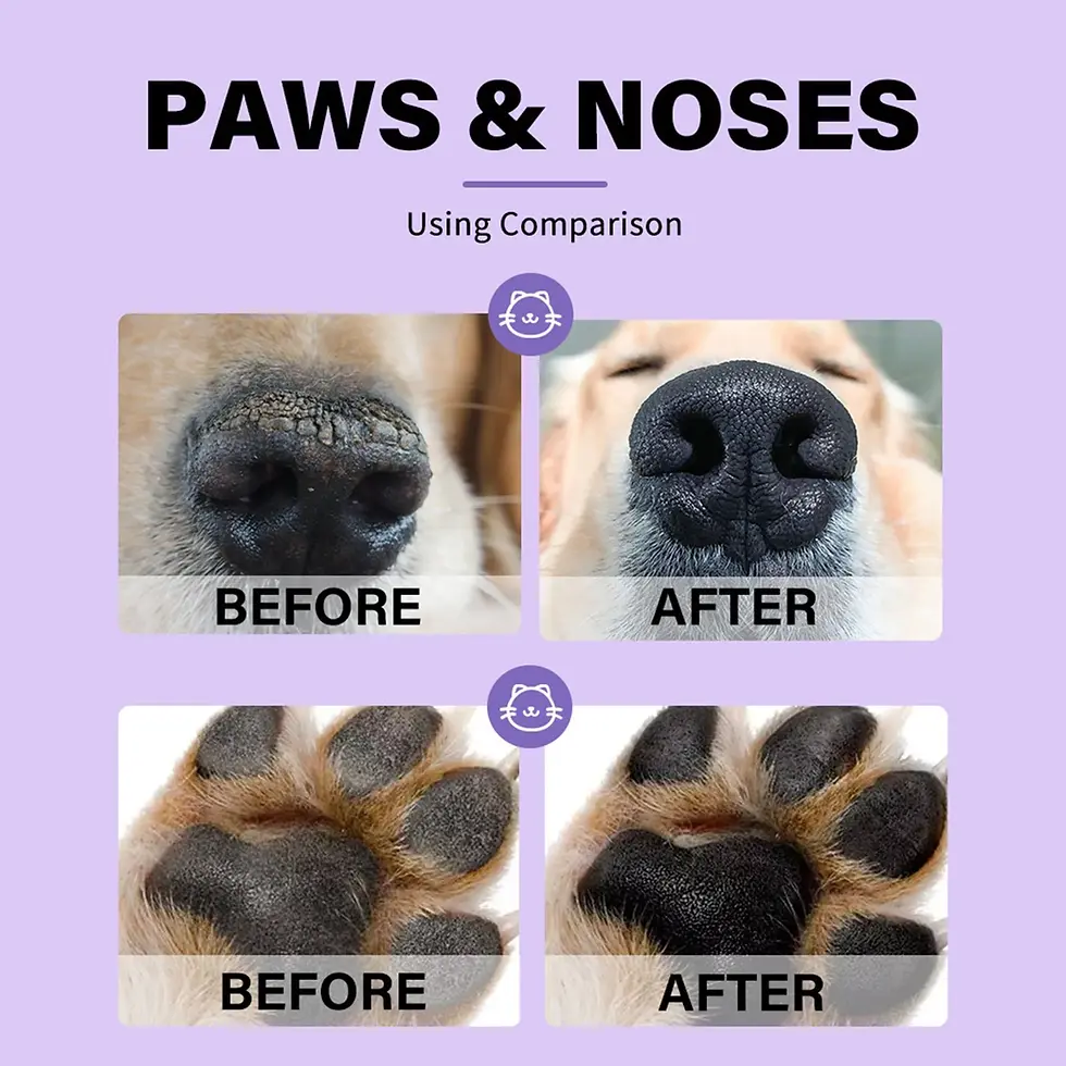 Miniatura: Dog Paw Balm - Natural Cream