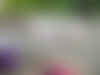 Warum Sri Lanka der perfekte Ort für einen Yoga & Surf Urlaub ist