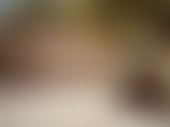 How To Reprogram Garage Door Opener?