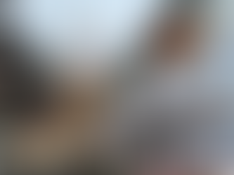 🌸孫の卒園式と入学式を前に🌸