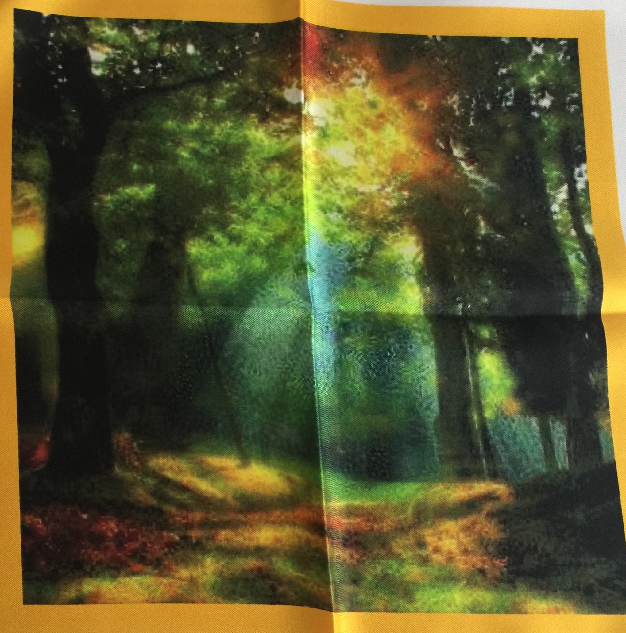enchanted forest