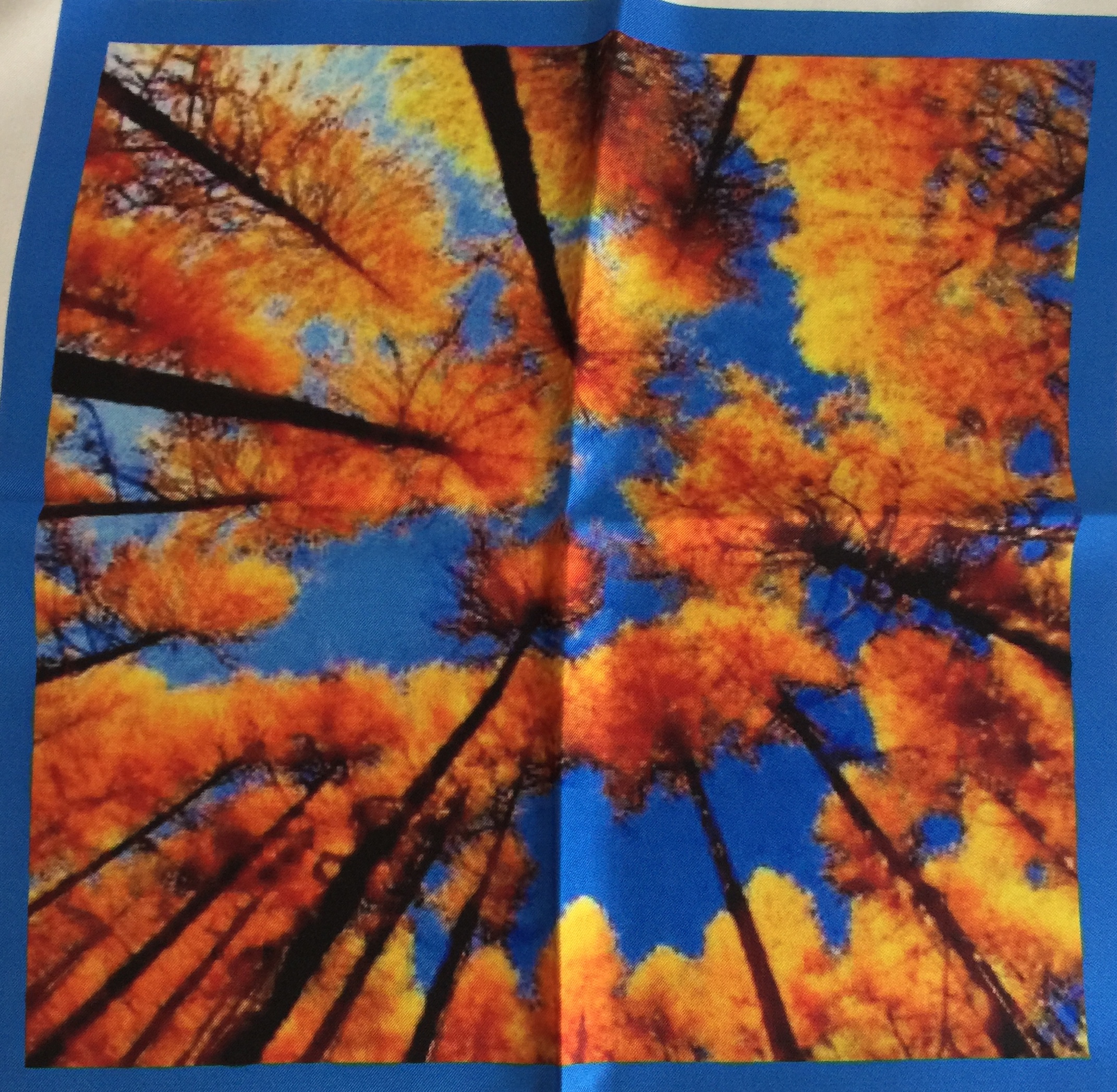 canada Forest