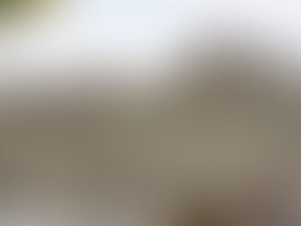 REMINISCING THE VASTNESS OF THE SHANGRI-LA NAMED LADAKH AND MORE