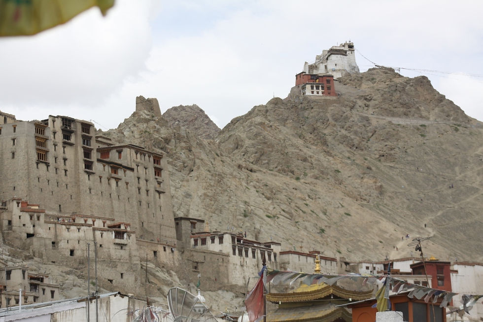 leh palace
