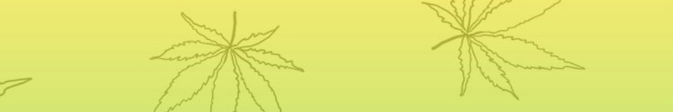 Découvrez la gamme complète du Headshop Stayhigh. Vous trouverez de nombreux cendriers, rangements, blunts & cigares, bangs, accessoires pour bangs, fleurs CBD, produits à base de chanvre CBD, balances numériques, e-cigarettes, briquets, filtres, cachettes secrètes, coffrets cadeaux, broyeurs, grips & packaging, grow accessoires, J-Tubes et cônes, style de vie et mode, consoles de mixage, couteaux, papiers et rouleaux, pipes, bâtons d'encens, ustensiles à priser, shakers et presses, ensembles et marchandises, tabac, tests et contrôles d'urine, vaporisateurs, conduites d'eau, chichas , cigarettes et accessoires. Commandez tout maintenant chez vous gratuitement aux meilleurs prix et recevez également des accessoires pour fumeurs et bien plus encore. Économisez maintenant avec notre service CBD.