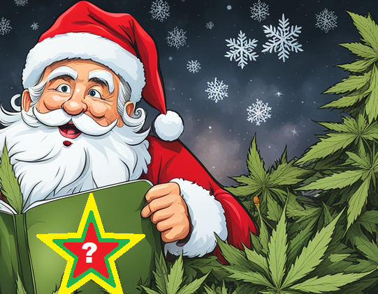 A Santa Claus gives away Vozol Vapes and CBD hash in Switzerland
