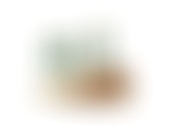 Aktivkohlefilter Purize bestellen: Vorteile und Anwendungen