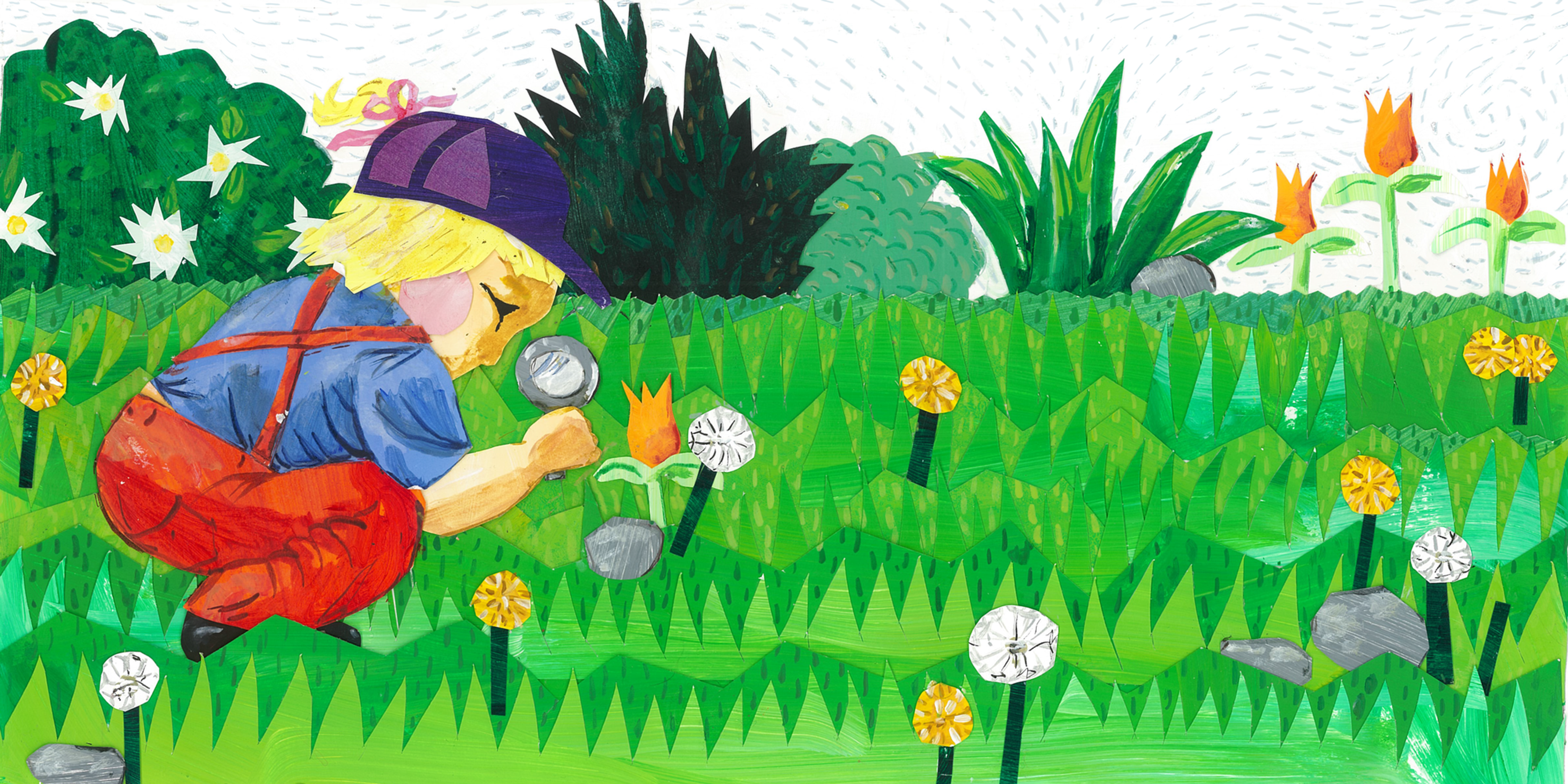 An Insect Alphabet - Intro