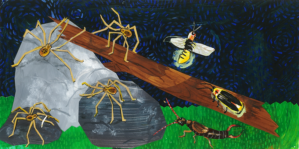 insectabc-def-image