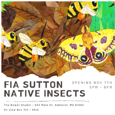 Screenshot_2019-10-24 Fia Sutton Native