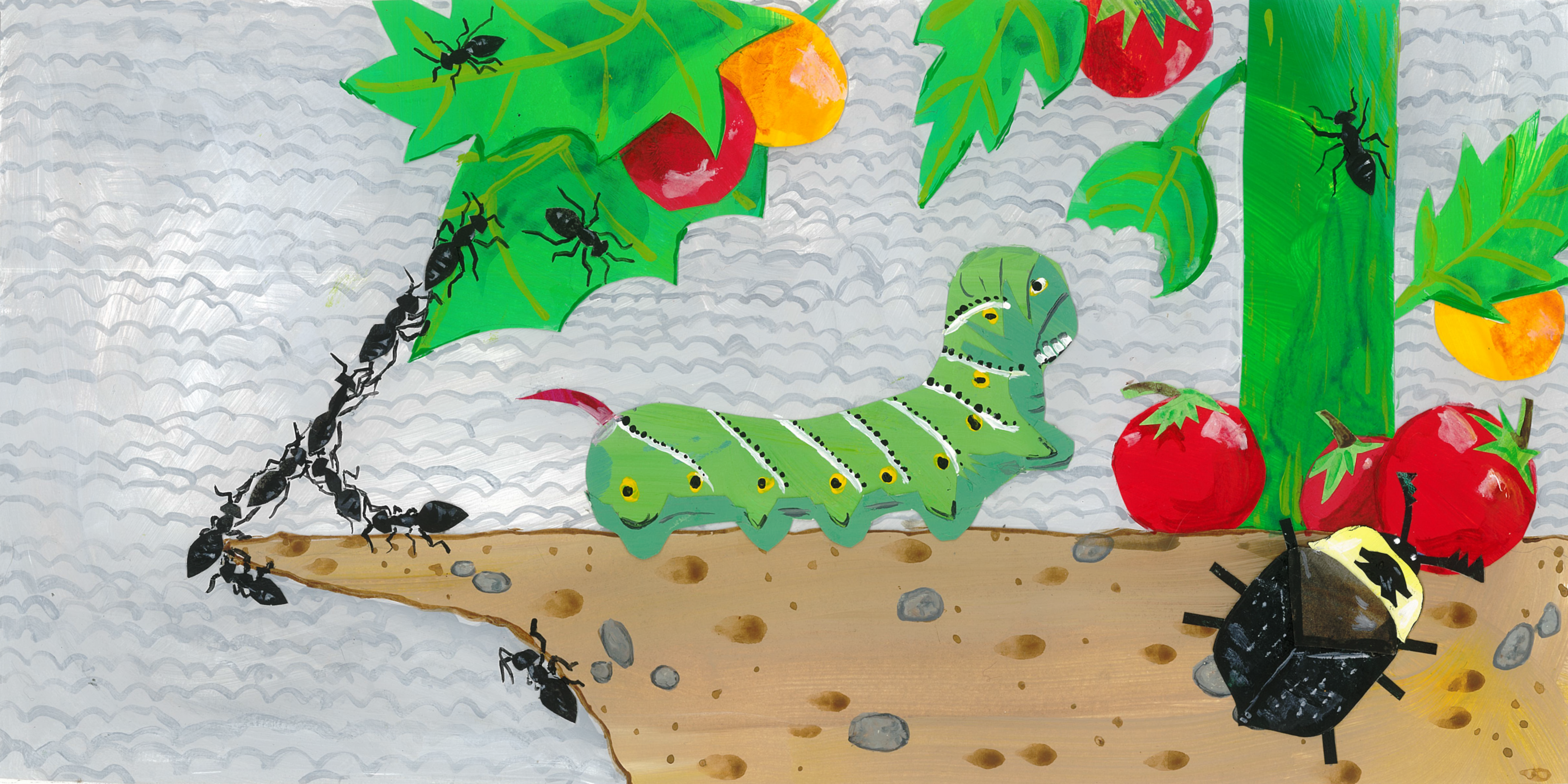 An Insect Alphabet - A Big Caterpillar