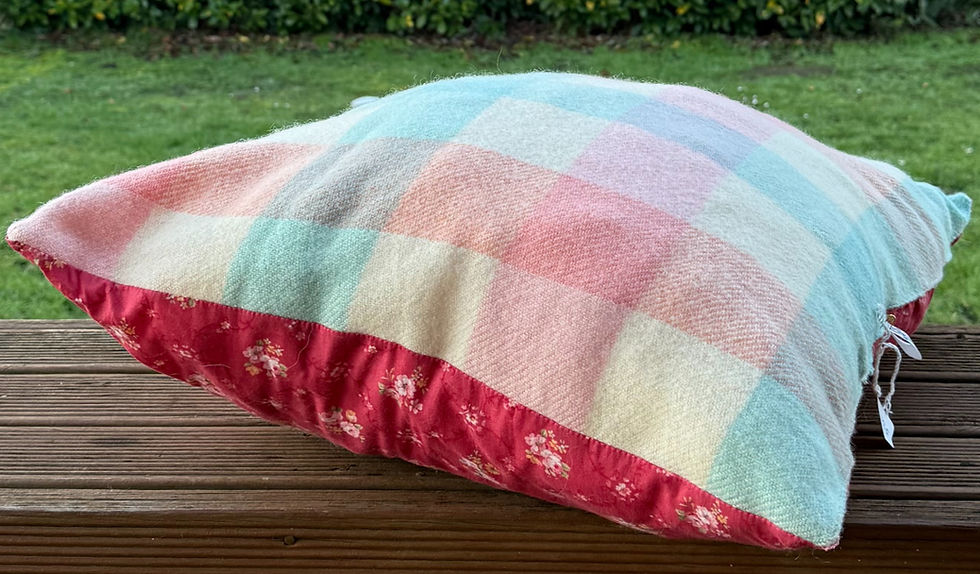 Thumbnail: NZ Wool Cushion Bed