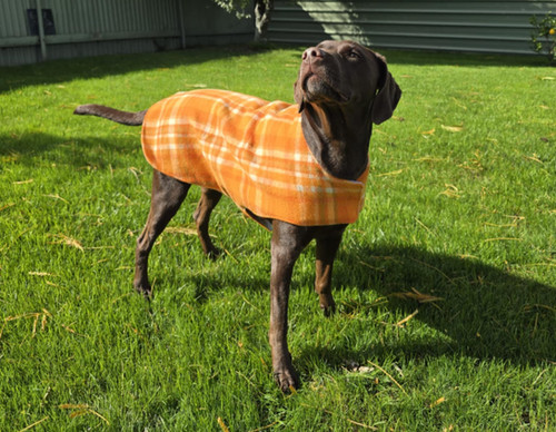 Harris Tweed Custom Made Dog Coats Dog Coat Chihuahua Coats Uk