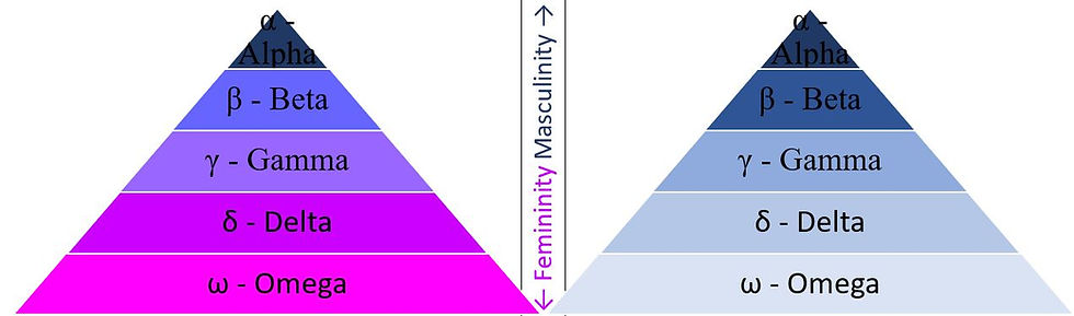 Looking for the Right One(s) (1): The 4 Factors that Determine the Pairing Off