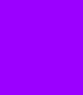 Purple.png