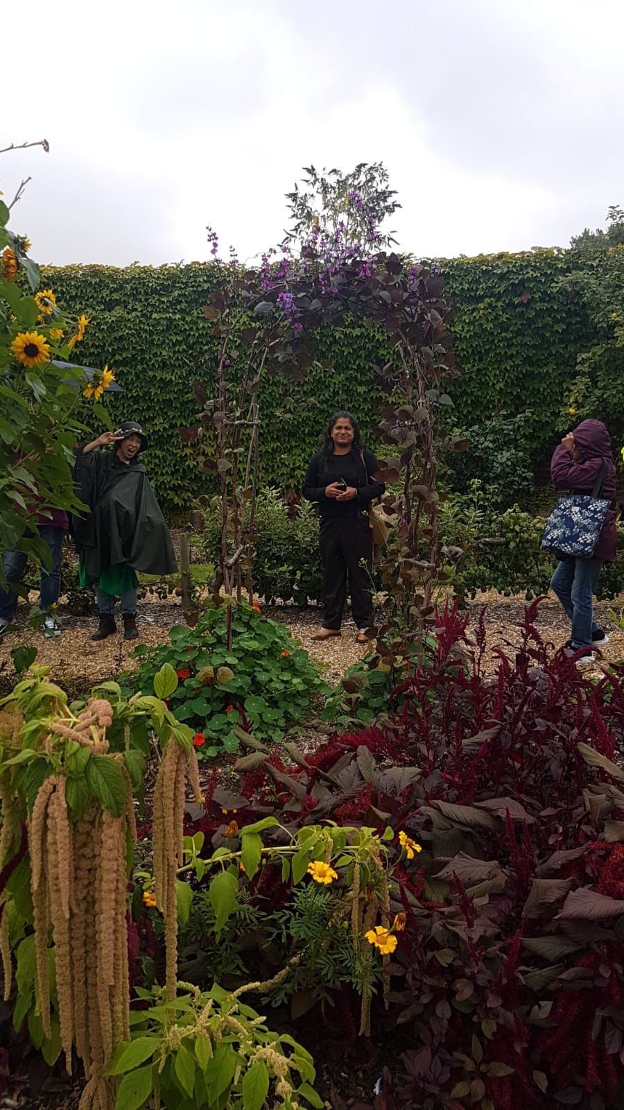 Photo from Nancy Turner