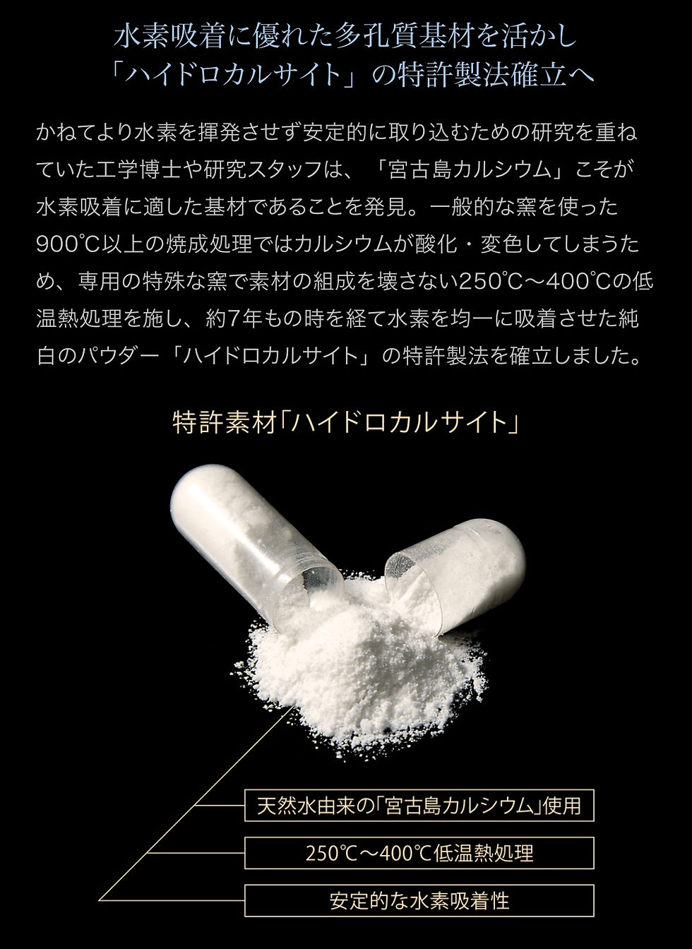 サムネイル： プロトングランプロ