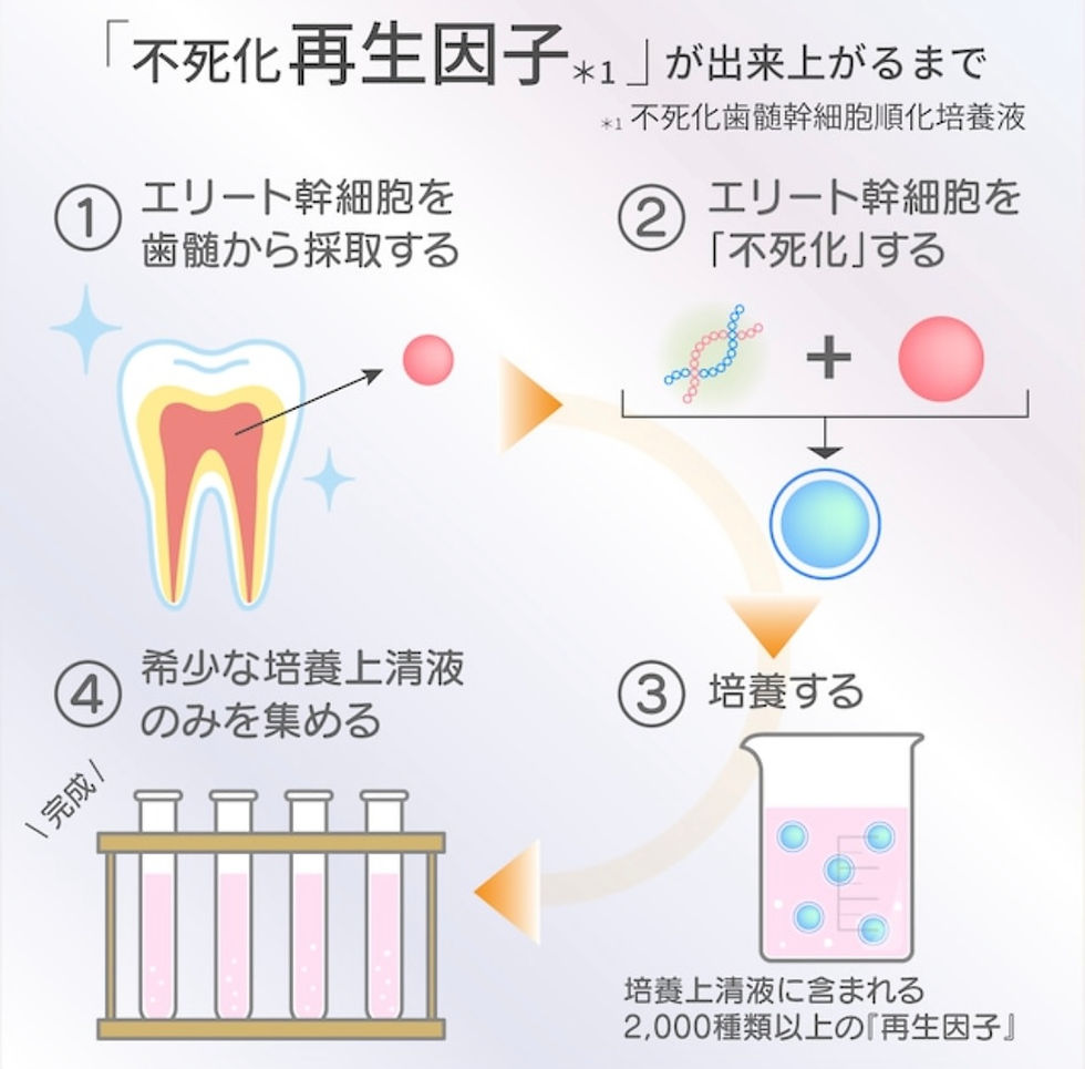 サムネイル： バイオリプロFKチャージ