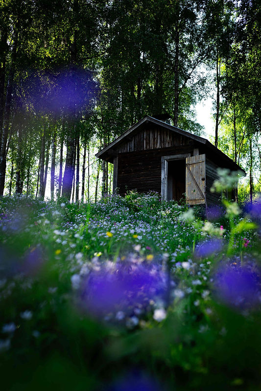 Nevalan luontotilan perinnesauna kesäisellä kukkaniityllä