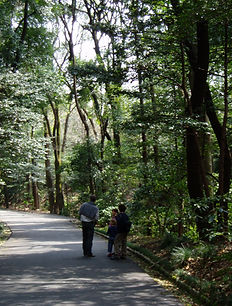 Japo 2007 093.jpg