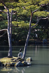 Japó - 60.jpg
