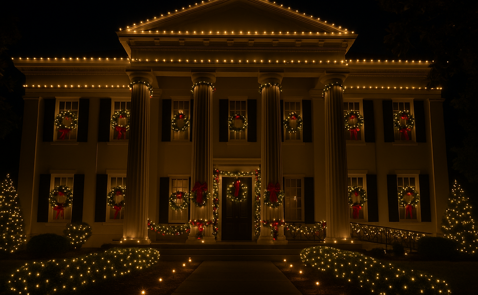 CharlestonChristmasLightInstallation.png