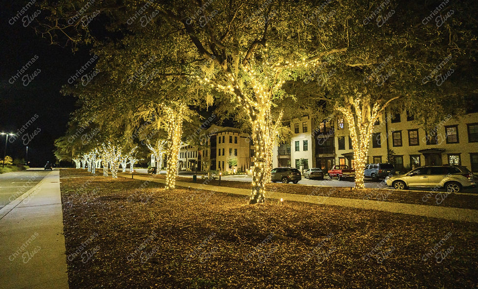 charleston-sc-christmas-light-installation-25.jpg