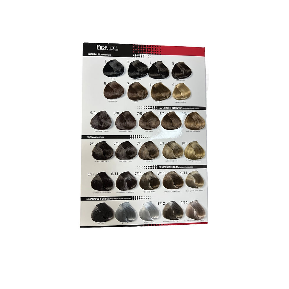 Miniatura: Carta de colores Color master Fidelite 114 tonos 